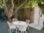 Inside patio view