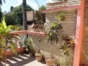 House's terrace view