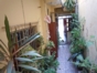 Inside view