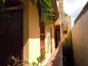 House view
