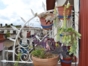 Terrace details