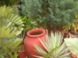 Patio details