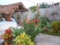 Inside patio view