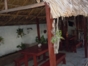 Inside patio view