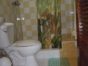 Bathroom view