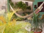 Inside patio view