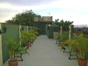 Inside patio view