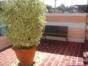 House terrace view
