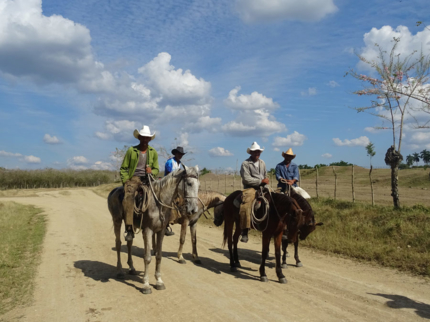 Excursión "VISITA A LA FINCA LA BELÉN"