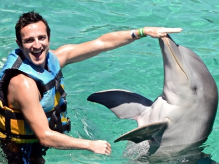 Dolphin Experience in Varadero