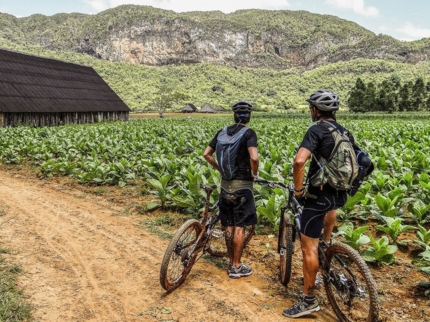 “A Beauty and Sweaty Mountain Bike” Tour
