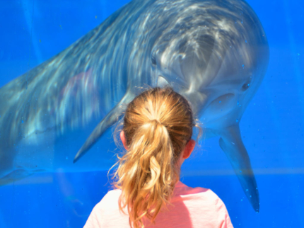 Visit to the “National Aquarium of Cuba”