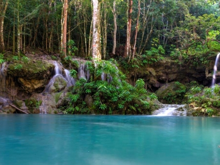 Jobo Rosado" Protected Area"