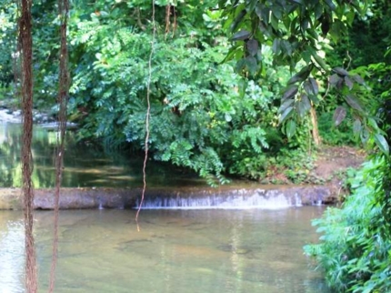 Visit to the "La Rosita" farm