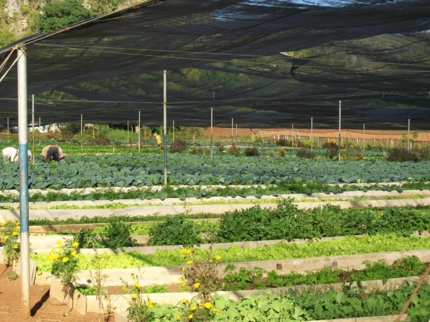 “Visit to a Cuban Farm” Tour