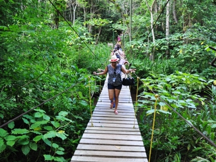 Tour to “the Altiplano of Tope de Collante” (Guanayara Natural Park)