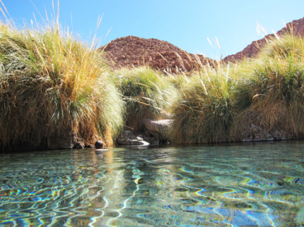 Puritama hot springs, Antofagasta region, Chile.