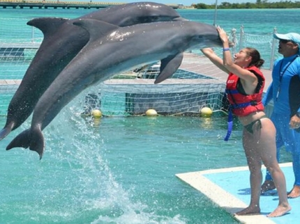 Interacting with the Dolphins at Cayo Guillermo dolphinarium