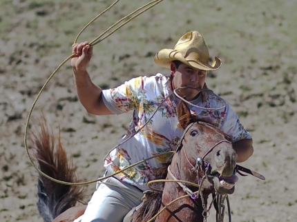 Rancho King Touristic Farm