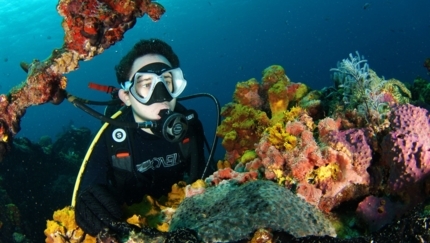 "Diving in Cayo Levisa” Tour