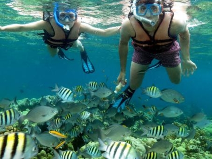 "Snorkeling from Marea del Portillo" Tour