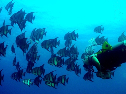 "Diving in in Covarrubias" Tour