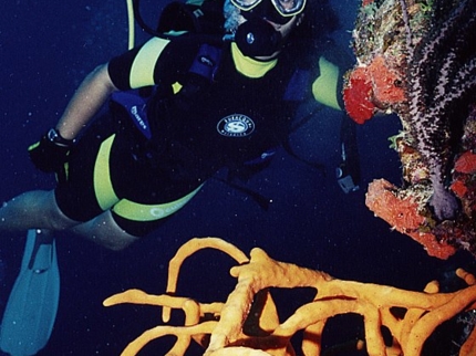 Scuba diving tour in Santiago de Cuba