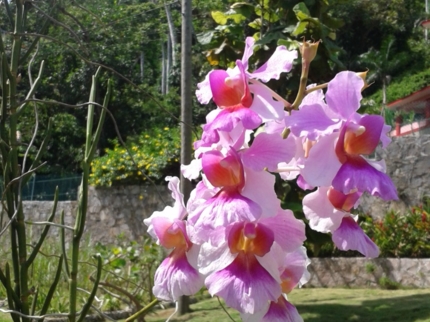 Excursión “SOROA - LAS TERRAZAS”