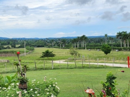 "VISIT TO THE MANACA ARRIBA FARM" Tour
