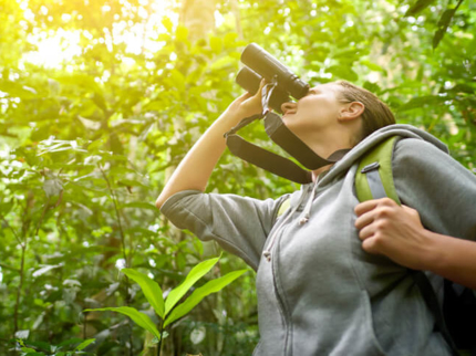 “Birdwatching tour in Viñales”