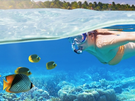 "Seafari Cayo Blanco from Marea del Portillo" Tour