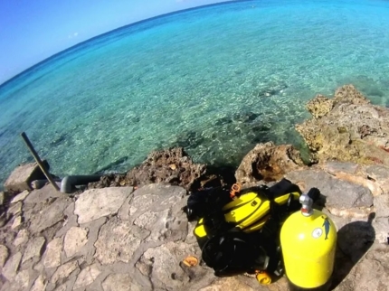 Excursión " Buceo en Playa Larga-Playa Girón”