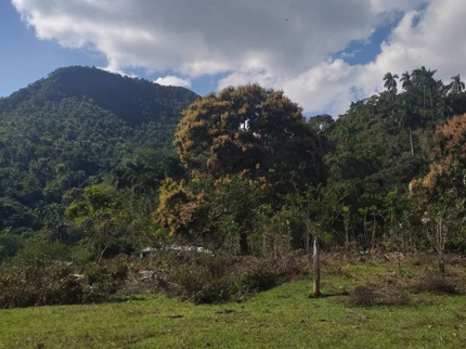 "El Brujito" Trail