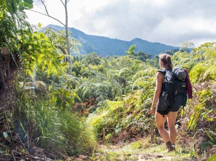 Turquino Peak Trekking Tour (2 Days and 1 Night)