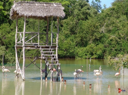 Rocazul biopark, Holguín