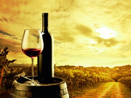 Local wine tour, Lima, Peru