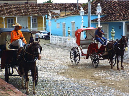 "Colonial Carriage in Trinidad" Tour