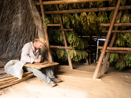 “THE WORLD OF TOBACCO” Tour