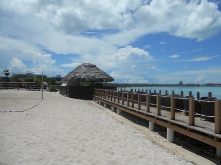 Beach Bar