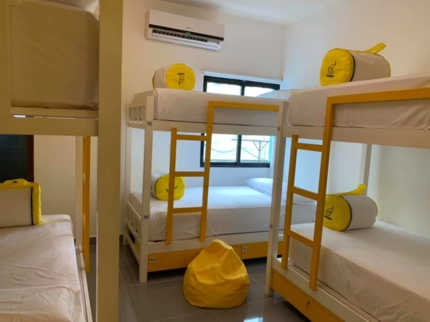BUNK BEDS