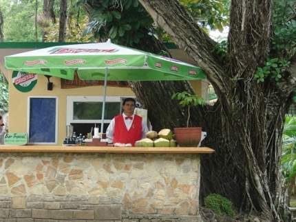 Bar Tropical