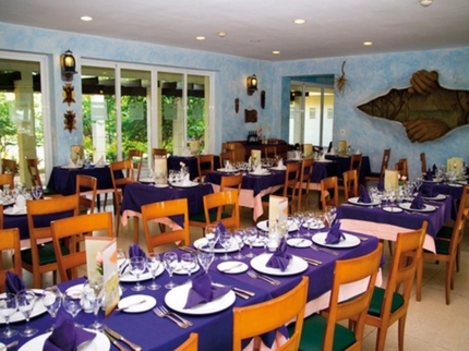 Seafood Restaurant Solymar section