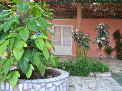 Hostal Santander, FRANK PAÍS (Del Carmen), No. 487