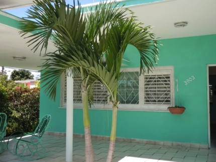 Casa Jorge y Alicia, AVENUE 10, No. 3903