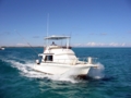 Deep sea fishing tour at Cayo Coco and Cayo Guillermo