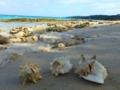 Maguana beach, Baracoa, Cuba