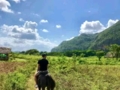 “Ride to Soroa and Viñales in Old Fashion American Classic Cars” Tour