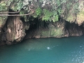 “In Horse Carriage to El Pilón Waterfall” Tour