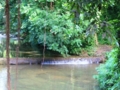 Visit to the "La Rosita" farm