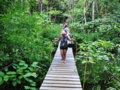 Tour to “the Altiplano of Tope de Collante” (Guanayara Natural Park)